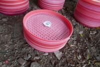 10 PLASTIC CHICKEN TRAYS - 5
