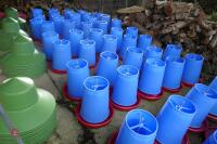 10 MINOLA FEEDERS WITH RAIN HATS - 5