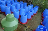 10 MINOLA FEEDERS WITH RAIN HATS - 5