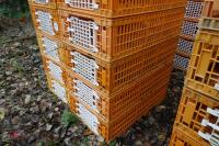 10 PLASTIC POULTRY/GAMEBIRD CRATES - 5