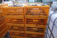 10 PLASTIC POULTRY/GAMEBIRD CRATES - 6