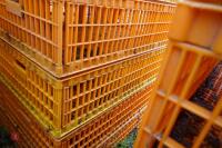 10 PLASTIC POULTRY/GAMEBIRD CRATES - 3