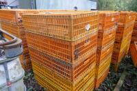 10 PLASTIC POULTRY/GAMEBIRD CRATES - 4
