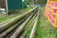 10 TELEGRAPH POLES - 6
