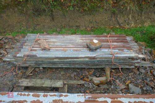APPROX 30 CORRUGATED TIN SHEETS (16)