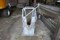 IAE CALF DE-HORNING CRATE - 3