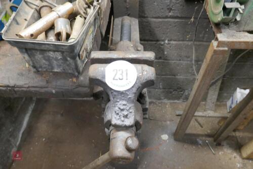 LARGE VICE