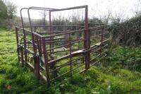 COW CATCHER - 4