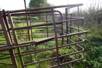 COW CATCHER - 5