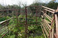 COW CATCHER - 6