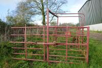 COW CATCHER - 7