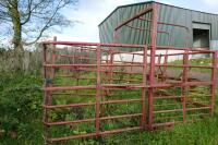 COW CATCHER - 10