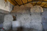 60 ROUND BALES OF 2022 HAY - 2