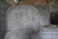 60 ROUND BALES OF 2022 HAY - 3