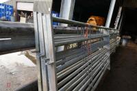 5 10' HEAVY DUTY CATTLE HURDLES - 4