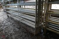 5 10' HEAVY DUTY CATTLE HURDLES - 6