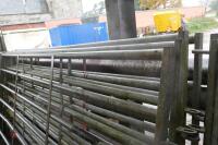 5 10' HEAVY DUTY CATTLE HURDLES - 5