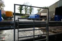 CATTLE HANDLING SYSTEM 5' GATE - 4