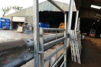 CATTLE HANDLING SYSTEM 5' GATE - 5