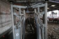 NUGENT GALVANISED CATTLE CRUSH - 3