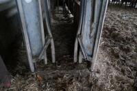 NUGENT GALVANISED CATTLE CRUSH - 4