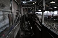 NUGENT GALVANISED CATTLE CRUSH - 9