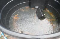 PAXTON PLASTIC ROUND WATER TROUGH - 6