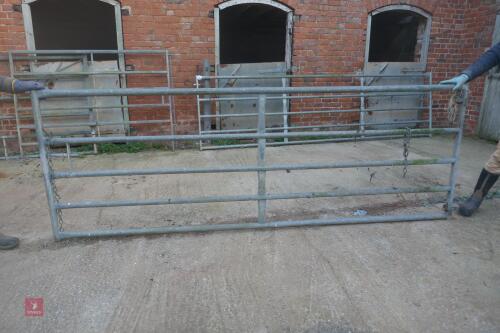 10FT 8" GALVANISED YARD GATE (62)