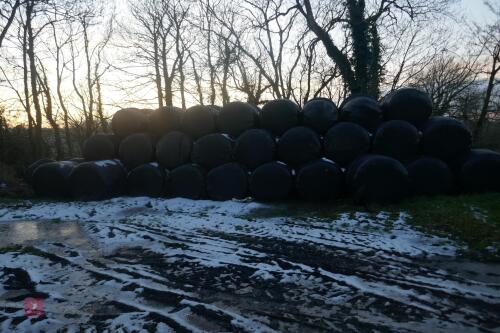 45 2022 ROUND BALES OF SILAGE (BIDS PER BALE)