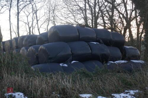50 2022 ROUND BALES OF SILAGE (BIDS PER BALE)