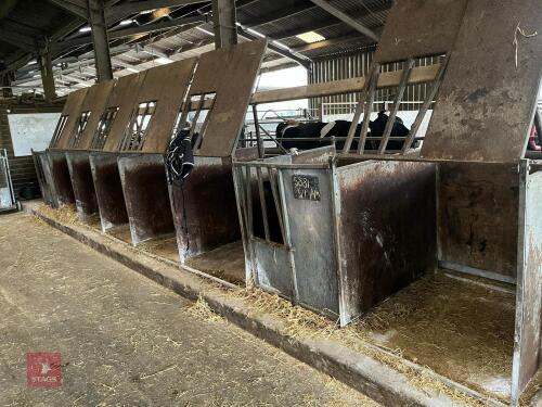 8 X CALF PENS