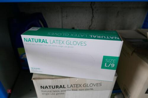 10 BOXES OF LARGE LATEX GLOVES