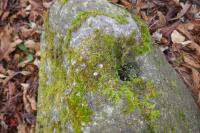 2 GRANITE BLOCKS - 6