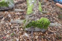 1 GRANITE GATE POST - 2