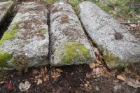 3 HALF MOON GRANITE COPING STONES - 4