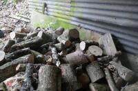 SMALL HEAP OF FIREWOOD LOGS - 5
