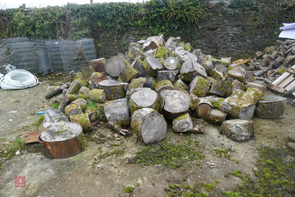 HEAP OF UNPROCESSED FIREWOOD LOGS