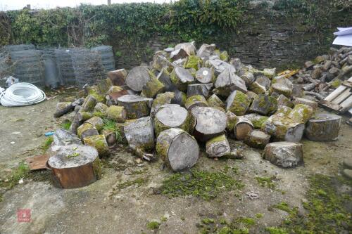 HEAP OF UNPROCESSED FIREWOOD LOGS