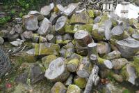 HEAP OF UNPROCESSED FIREWOOD LOGS - 4