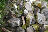 HEAP OF UNPROCESSED FIREWOOD LOGS - 5