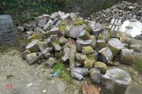 HEAP OF UNPROCESSED FIREWOOD LOGS - 9