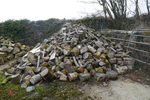 HEAP OF FIREWOOD LOGS
