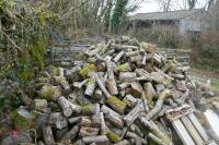 HEAP OF FIREWOOD LOGS - 3