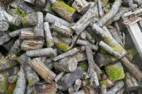 HEAP OF FIREWOOD LOGS - 6
