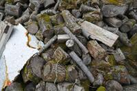 HEAP OF FIREWOOD LOGS - 7