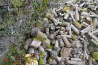 HEAP OF FIREWOOD LOGS - 9