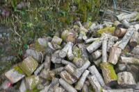 HEAP OF FIREWOOD LOGS - 10