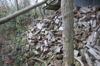 LARGE HEAP OF CUT FIREWOOD LOGS - 9