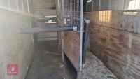 BVW LT35 3.5T HORSE LORRY - 9
