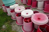 21 RED MANOLA FEEDERS - 3